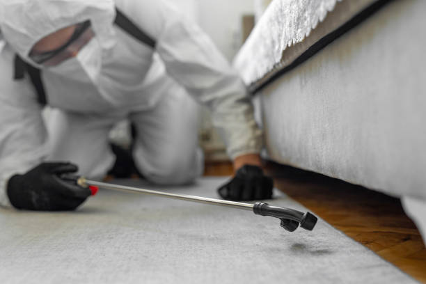 Professional Pest Control technician working in Albia, IA