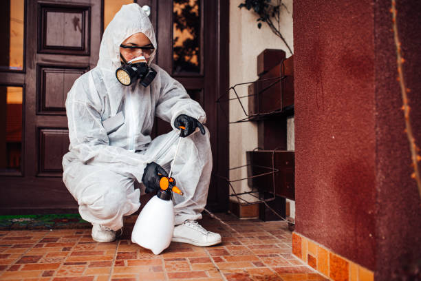 Reliable Bed Bug Control contractor in Albia, IA by Nex Pest Control