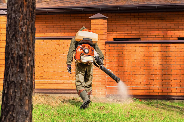 Trusted Mosquito Control service in Albia, IA - Nex Pest Control